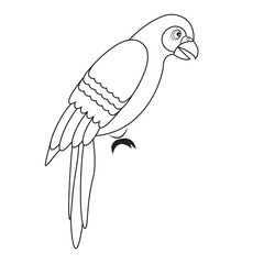 parrot silhouette