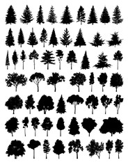Obraz premium Set silhouette tree