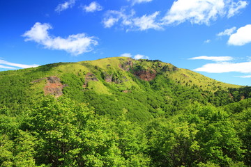 Mountain in summer, Mt. Nekodake, Nagano, Japan