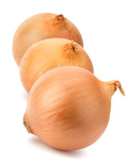 Fresh bulbs of onion on a white background