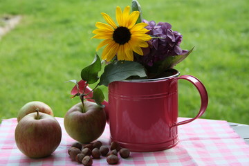 Äpfel und Nüsse neben dekorativer Gießkanne