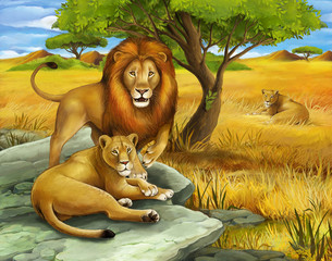 Safari - lions - illustration for the children