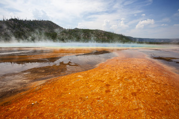 Colorful bacteria mat surrounding Grand Prismatic Spring