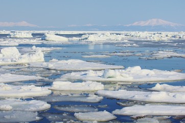 Fototapeta na wymiar DRIFT lód kra kra Morze Ochockie
