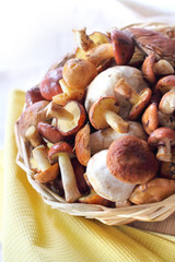 Wild mushrooms