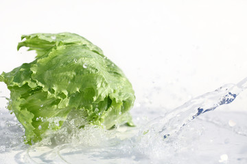 Fresh lettuce with water splash
