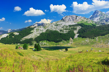Fototapeta na wymiar Widok countriside pobliżu Rikavacko jeziora w Komovi górach