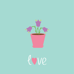 Violet  flower in pot. Love card.