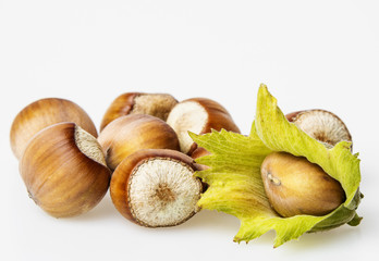 hazelnuts on white background