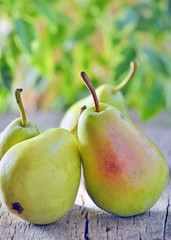 harvested pears on old wooden