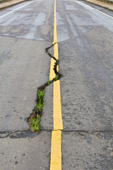 Cracks on asphalt the yellow line dividing lanes with grass