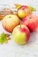 autumn crop of apples