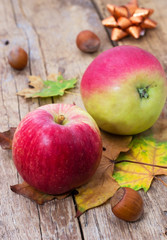autumn apples and hazelnuts