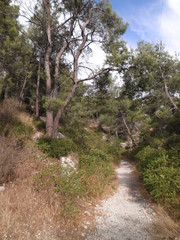 calanques - sentier provençal