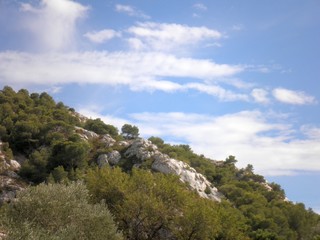 Fototapeta na wymiar calanques - falaise calcaire