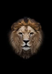 Papier Peint photo Lavable Lion La tête d& 39 un lion sur fond noir