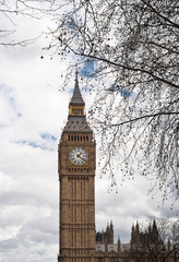 Fototapeta na wymiar Big Ben with tree in London