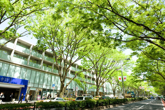 2 902 Best 表参道 Images Stock Photos Vectors Adobe Stock