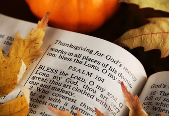Open Bible and autumn leaves.