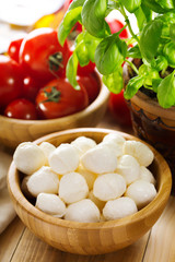 mozzarella with tomatoes and green basil