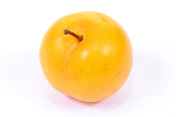 Prune jaune © Regormark