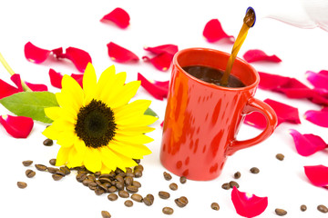 Kaffeetasse eingiessen 3
