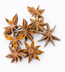 Chinese aniseed