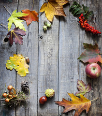 Autumn abstract leaves and signs on vintage boards background