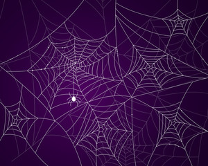 Vector Illustration of Scary Spider Webs