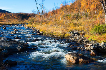 Autumn river
