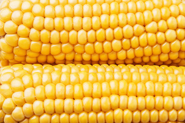 corn close up