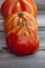 Frische große Coeur de Boeuf Tomaten