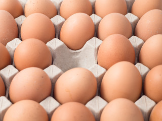 eggs break in carton