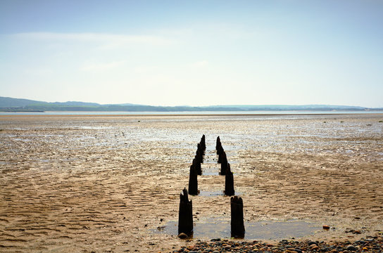 Double row of wooden posts near Millom