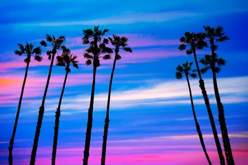 Fotobehang California palm trees sunset with colorful sky © lunamarina