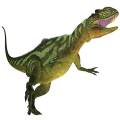 Yangchuanosaurus on White
