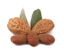 Almonds isolated on white