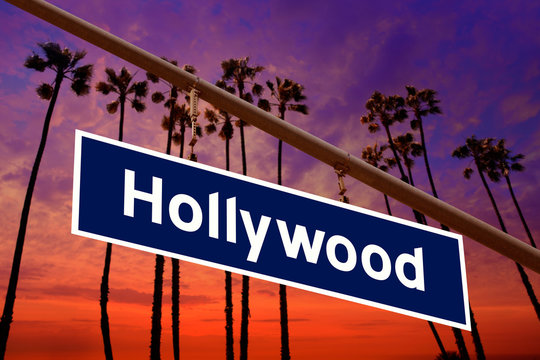 Hollywood California road sign on redlight with pam trees  photo