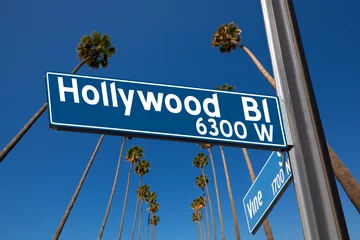 Stof per meter Hollywood Boulevard with  sign illustration on palm trees © lunamarina
