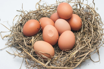 Cracked eggs and some egg in straw.