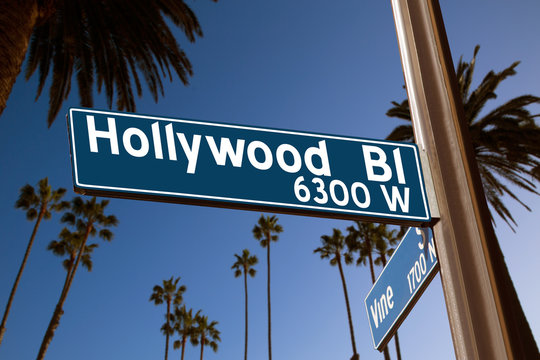 Hollywood Boulevard with  sign illustration on palm trees