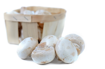Fresh white agaricus or button mushrooms