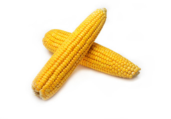 Corn isolated