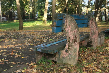 Old bench in the park in fall