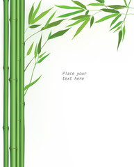 bamboo floral background. Wooden border with copy space.