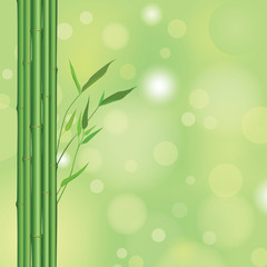 bamboo floral background. vector floral wallpaper.