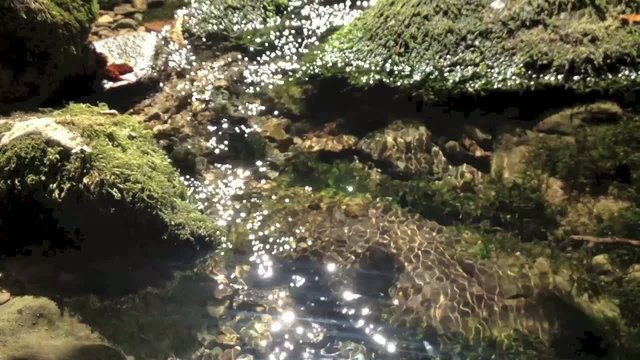 Искрящийся на солнце ручей