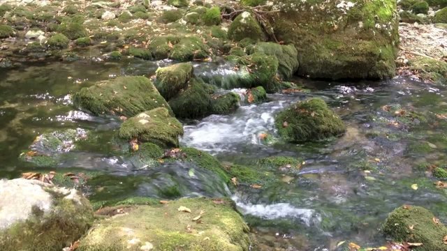 Журчащий горный ручей