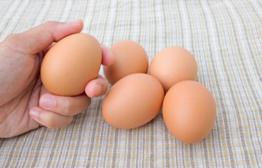 Selection of egg quality