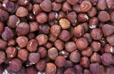 Hazelnut
